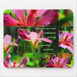 Morgen-Enthüllung Mousepad