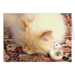 Morgen fangen wir den roten Punkt