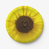 Morgen-Flamme Pappteller (Vorderseite)