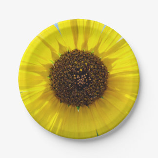 Morgen-Flamme Pappteller