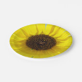 Morgen-Flamme Pappteller (Schrägansicht)