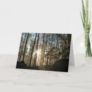 Morgen im Pennsylvania-Wald Karte