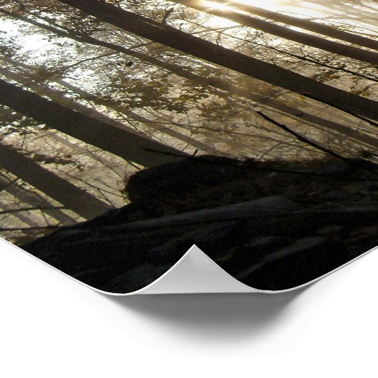 Morgen im Pennsylvania-Wald Poster (Ecke)
