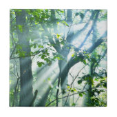 Morgen im Wald Fliese (Vorderseite)