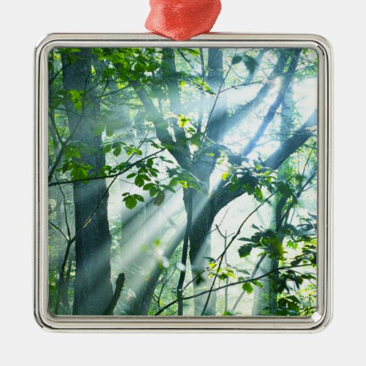 Morgen im Wald Ornament Aus Metall (Vorne)