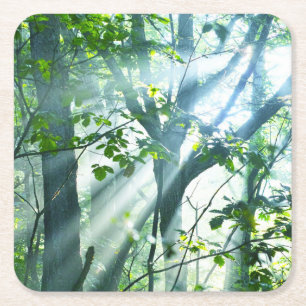 Morgen im Wald Rechteckiger Pappuntersetzer