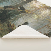 Morgen in einem Kiefernwald (Bären im Wald) Sherpadecke (3/4)