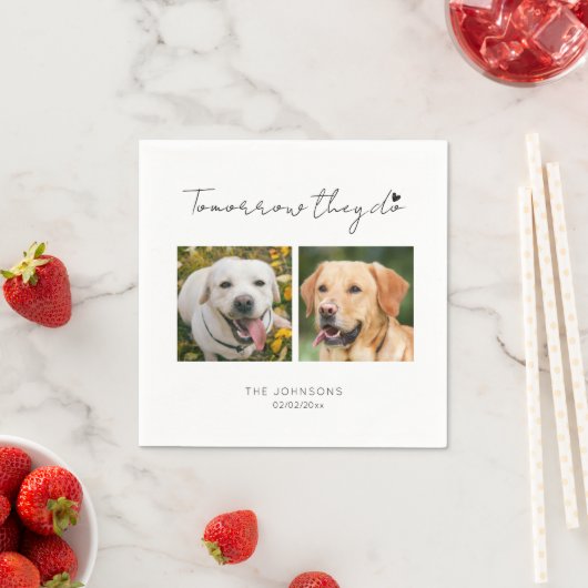 Morgen machen wir Haustier-Hund-Probe Serviette (Beispiel)