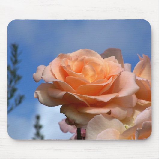 Morgen-Majestät Mousepad (Vorne)