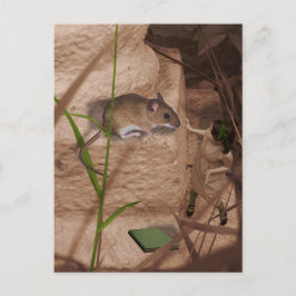 Morgen Miss Mouse. Postkarte