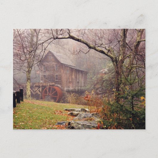 Morgen Nebel Postkarte (Vorderseite)