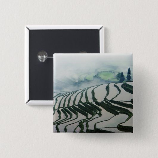 Morgen-Nebel über Reis-Feldern Button (Vorne & Hinten)