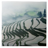 Morgen-Nebel über Reis-Feldern Fliese (Vorderseite)