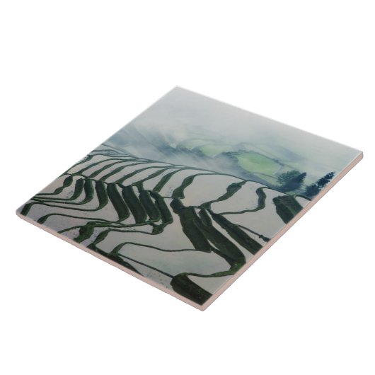 Morgen-Nebel über Reis-Feldern Fliese (Seite)