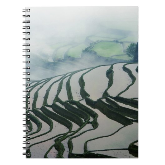 Morgen-Nebel über Reis-Feldern Notizblock (Vorderseite)