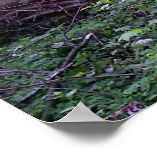 Morgen oben poster (Ecke)