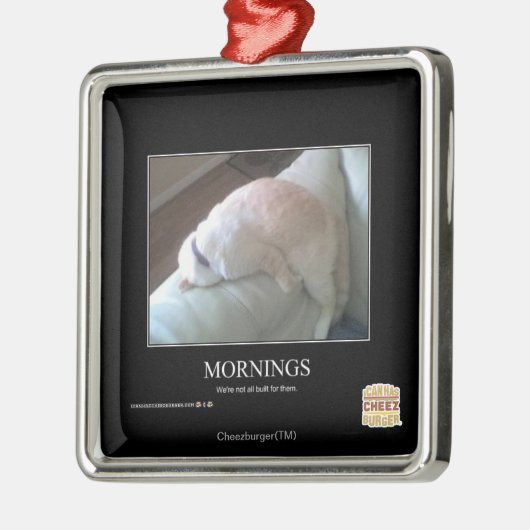 Morgen Silbernes Ornament (Links)