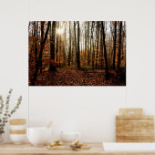 Morgen Sunbeams durch den Wald Poster (Küche)