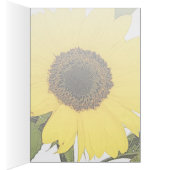 Morgen-Tau-Sonnenblume (Innen (Rechts))