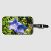 Morgen-Tau-Tropfen auf einer Ballon-Blume Gepäckanhänger (Vorderseite (Horizontal))