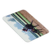 Morgenarbeit - Rennpferdmagnet Magnet (Rechte Seite)