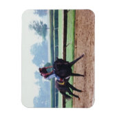 Morgenarbeit - Rennpferdmagnet Magnet (Vertikal)