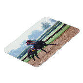 Morgenarbeit - Rennpferdmagnet Magnet (Linke Seite)