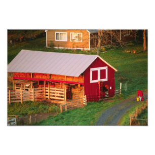 Morgenaufgaben auf dem Bauernhof. USA, Vermont, Fotodruck