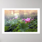 Morgendämmerung am Lotus Pond Poster (Vorne)
