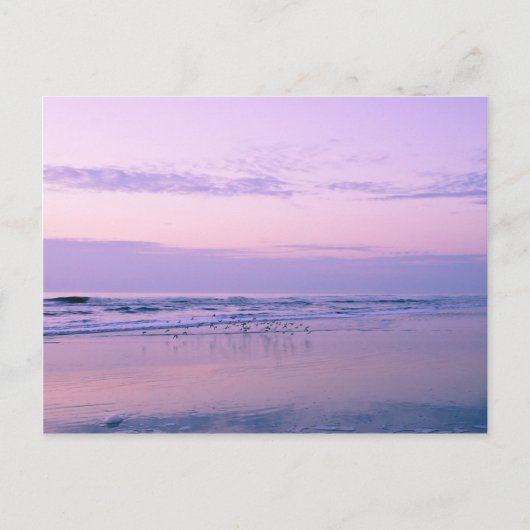 Morgendämmerung am Strand Postkarte (Vorderseite)