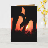 Morgendliche Touch Wild Pferde Grußkarte Karte (Gelbe Blume)