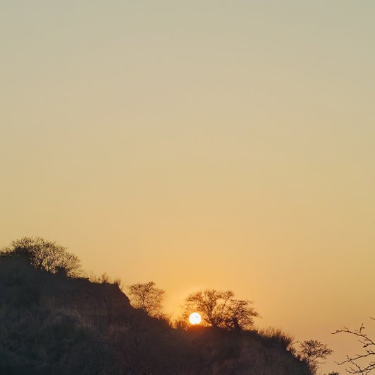 Morgendörfchen Poster