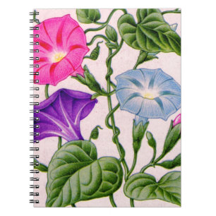 Morgenglanz in Blau und Rosa Notizblock