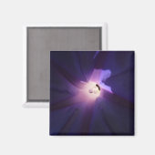 Morgenglanz Magnet (Vorderseite/Rückseite)