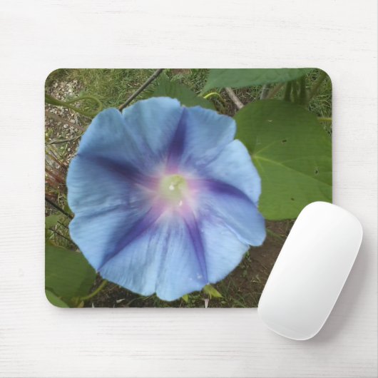Morgenglanz Mousepad (Mit Mouse)