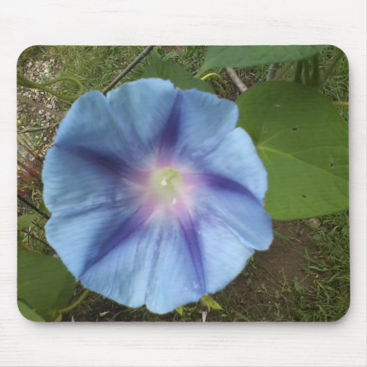 Morgenglanz Mousepad (Vorne)