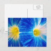 Morgenglanz Postkarte (Vorne/Hinten)