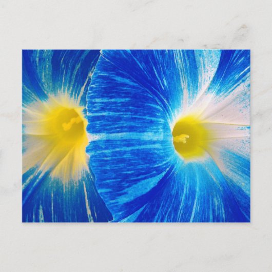 Morgenglanz Postkarte (Vorderseite)