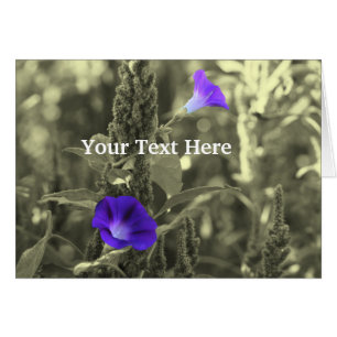 Morgengläser Schwarz-Weiß-Blume