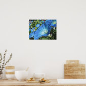 Morgenglorien auf Cape Cod Poster (Küche)