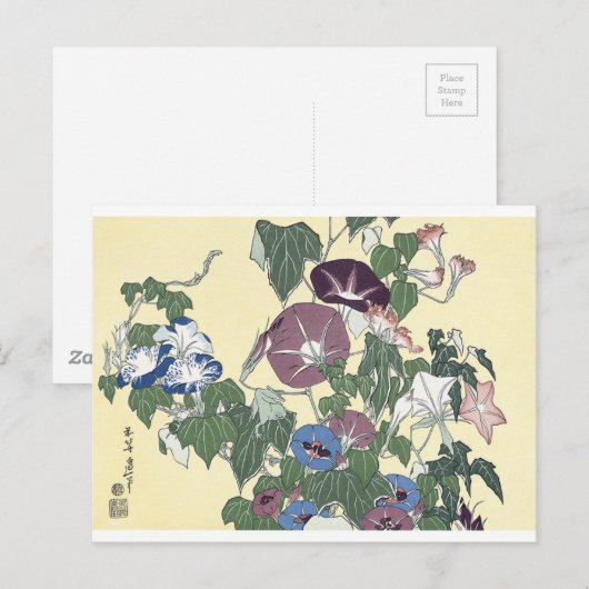 Morgenglorien und Grog Postkarte (Vorne/Hinten)