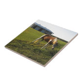 Morgengras Fliese (Seite)