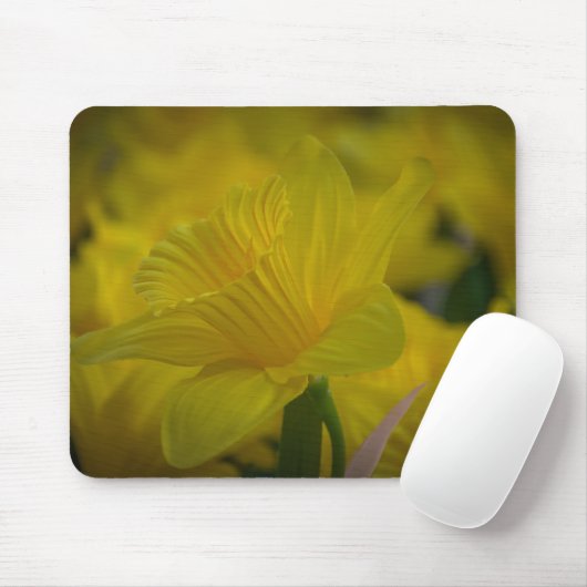 Morgengras Mousepad (Mit Mouse)
