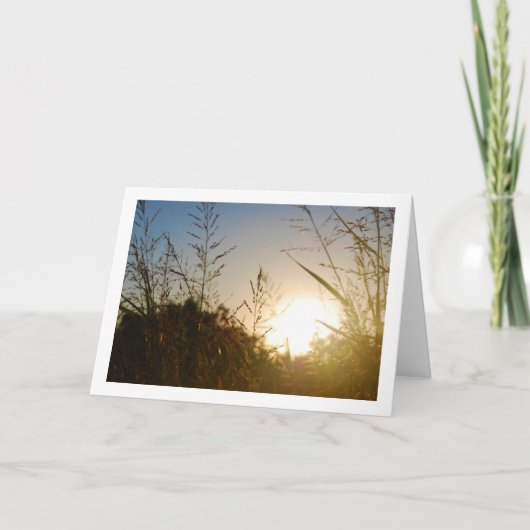 Morgengras: Sonnenaufgang durch Gras Karte (Vorderseite)
