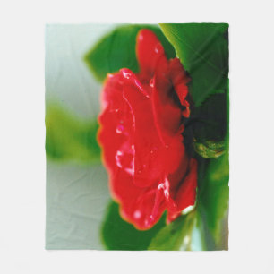 Morgengrauen rote Rose mit Taubstropfen Fleecedecke