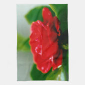 Morgengrauen rote Rose mit Taubstropfen Geschirrtuch (Vertikal)