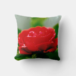 Morgengrauen rote Rose mit Taubstropfen Kissen