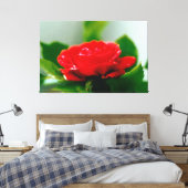 Morgengrauen rote Rose mit Taubstropfen Leinwanddruck (Insitu (Schlafzimmer))