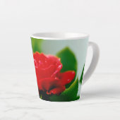 Morgengrauen rote Rose mit Taubstropfen Milchtasse (Rechte Ecke)