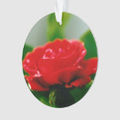 Morgengrauen Rote Rose mit Taubstropfen Ornament (Vorderseite)